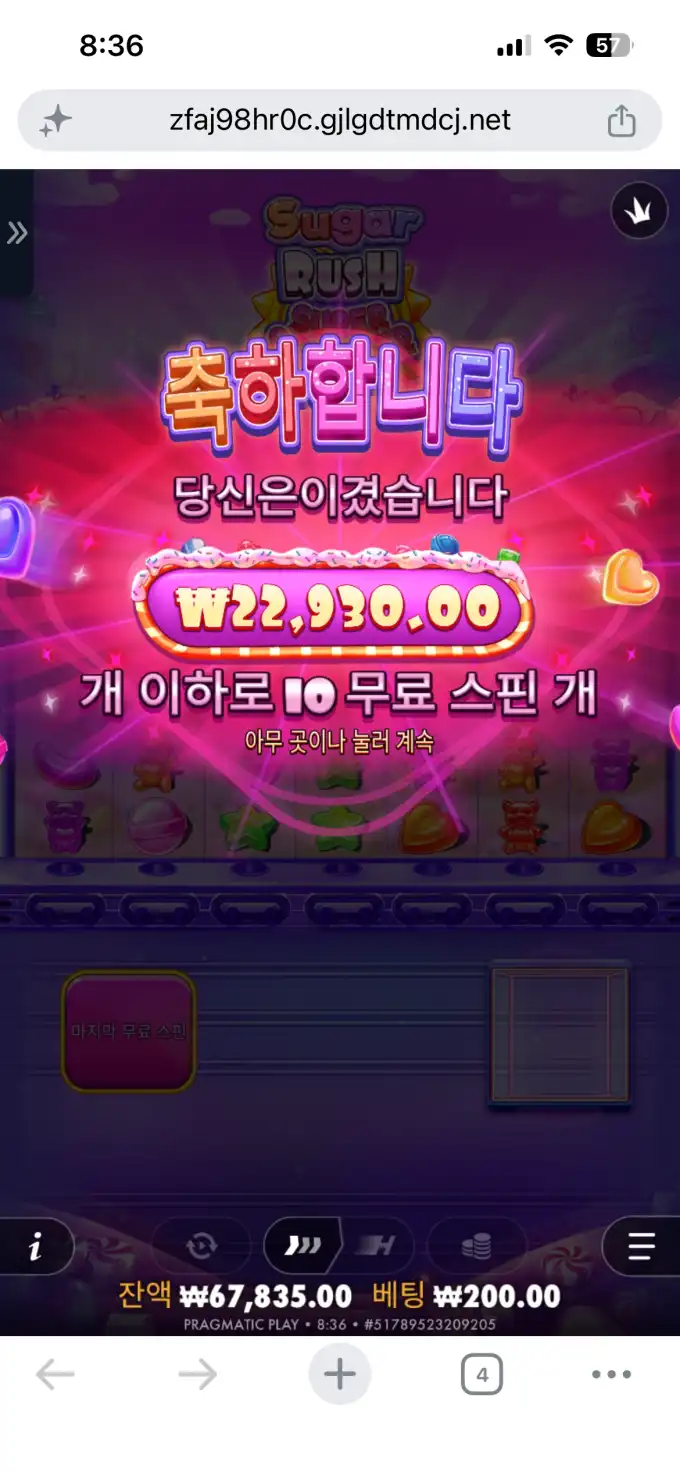 20260609134540IMG_6798.png