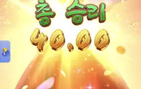 피지왕비2