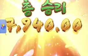 피지왕비2