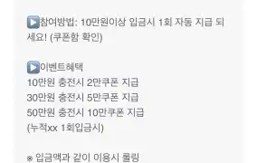 뉴헤븐후기