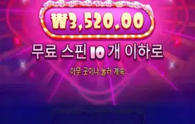 슈가 1000 2번째