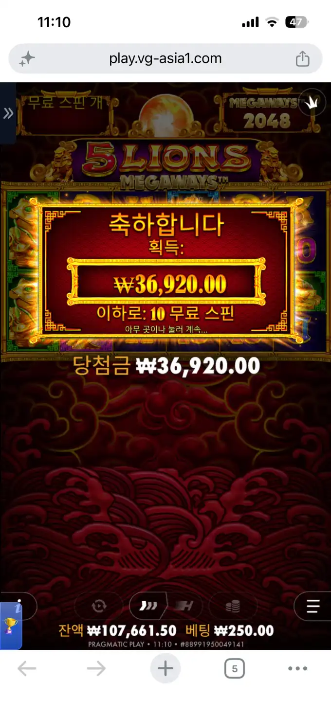 20260610113859IMG_6864.png