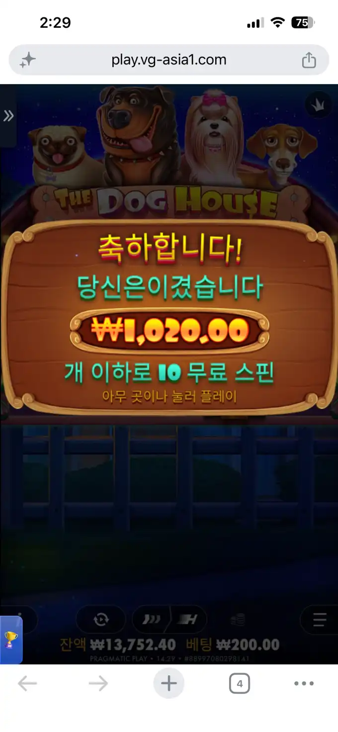 20260610143650IMG_6892.png