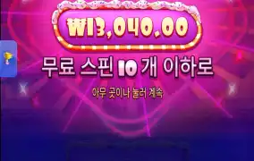 슈가 1000