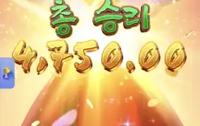 피지왕비