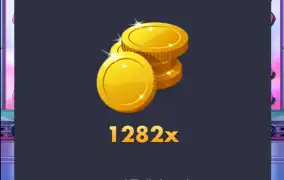 슈가 1000 바닥 천배