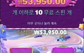 보난자천