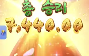 피지왕비