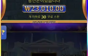 올푸1000 2