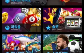 뉴헤븐후기