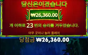 판다 추가 3번