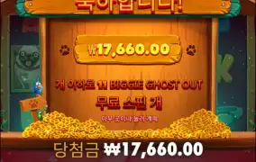 개집 빅도그