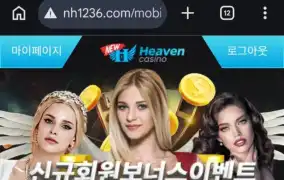 뉴헤븐후기