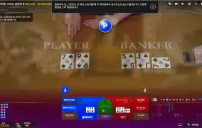 뉴해븐 후기