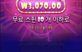 슈가1000 2