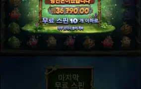 후르츠아마존
