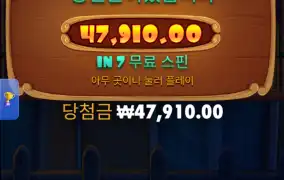 도그 하우스 메가웨이