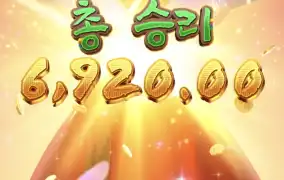 피지왕비