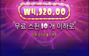 슈가1000