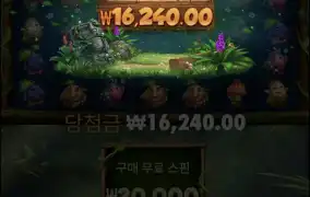 후르츠아마존바닥
