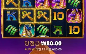 포춘오브기자