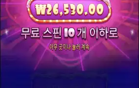 슈가1000