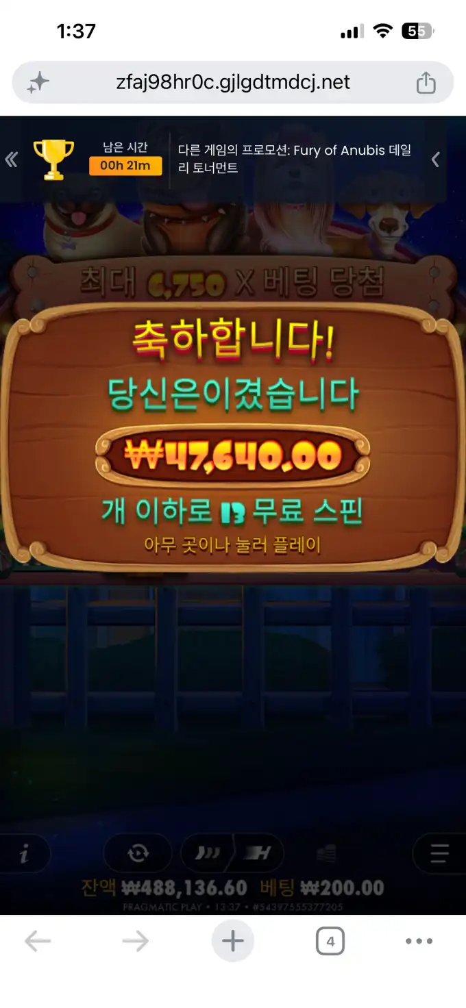 20260703133829IMG_8115.png