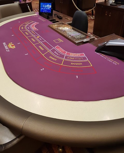 2500만원으로 17억을? (카지노 VIP손님) # 1