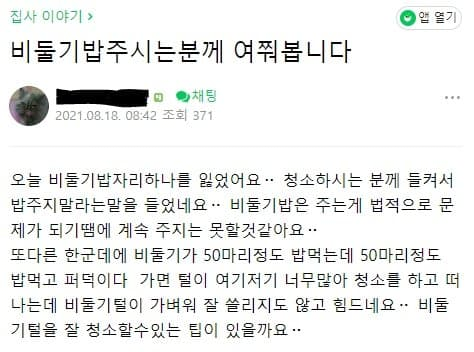 캣맘에 이은 비둘기맘 등장