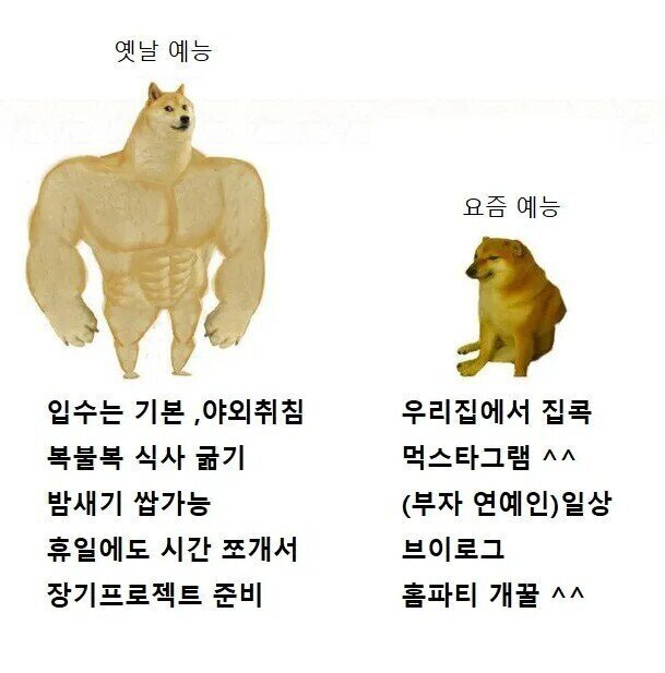 요즘 예능이 노잼인 2유