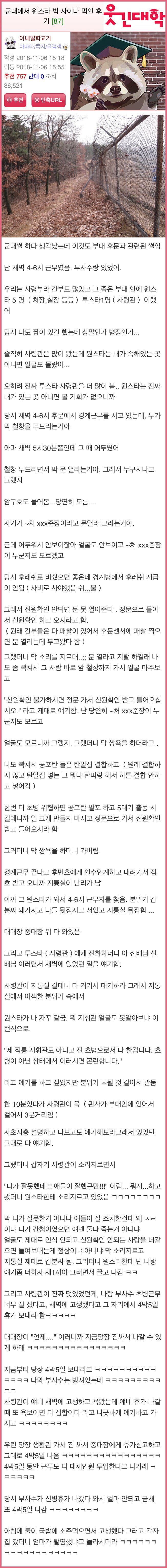 군대에서 원스타 역관광먹인 썰