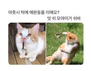 아쩌시 턱에 그거 뭐예요?