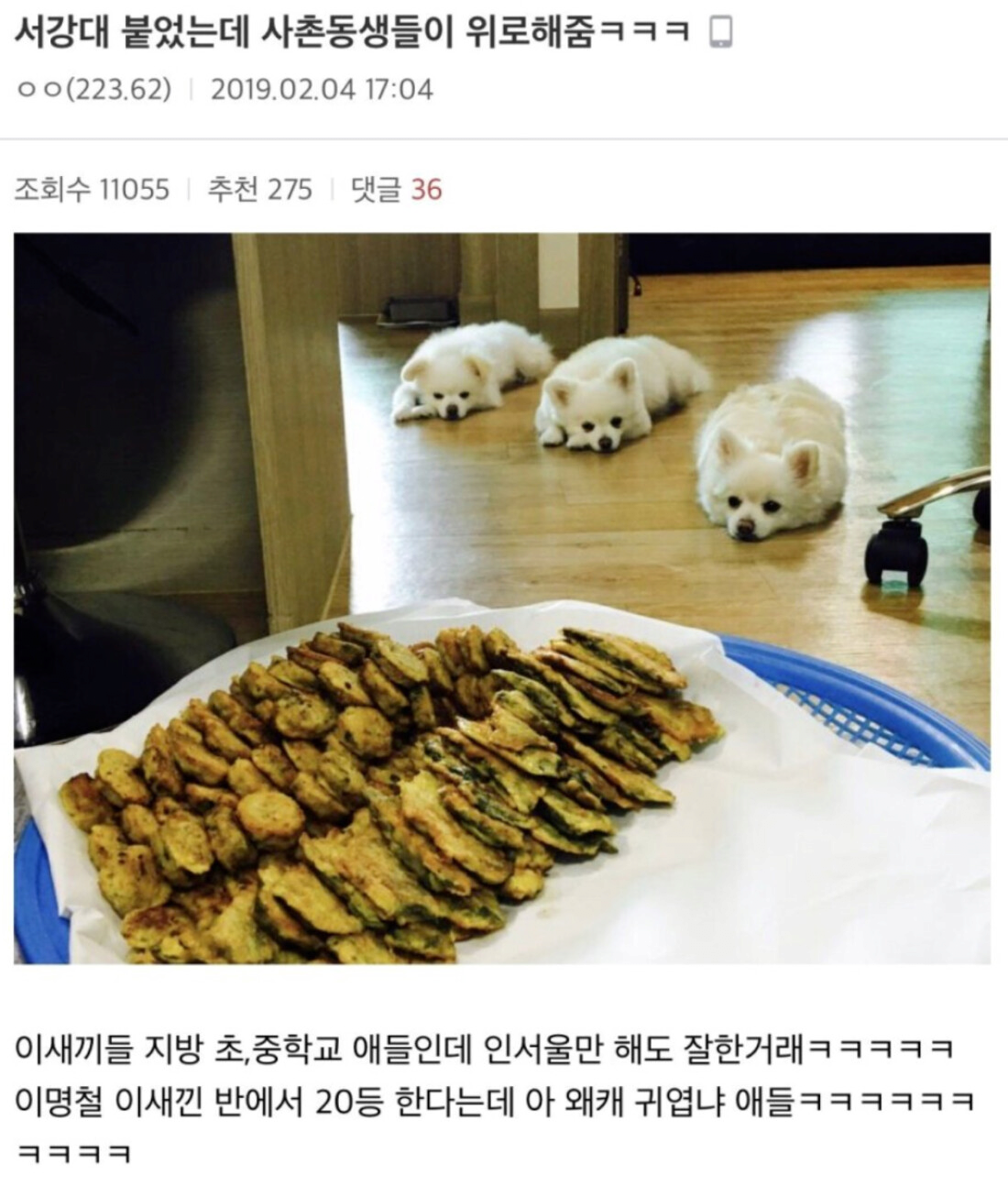 서강대 붙고 친척한테 위로받은 디씨인