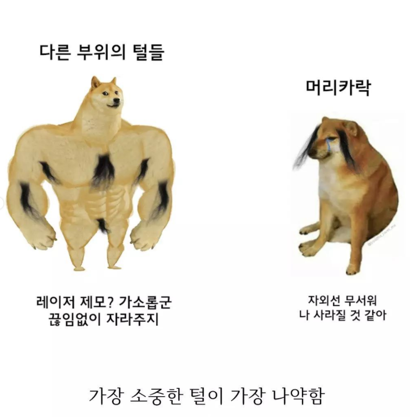 인체의 신비 ㅋ