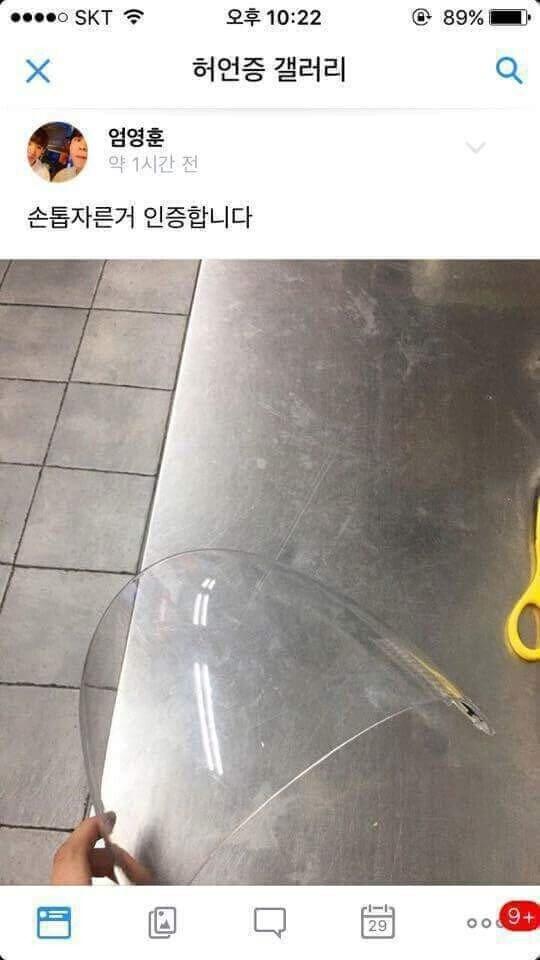 허언증 갤러리