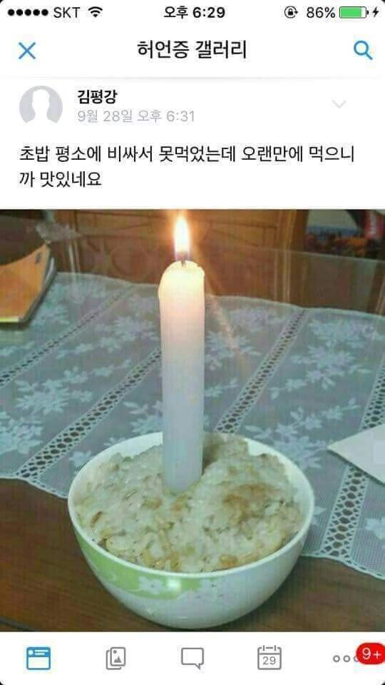 허언증 갤러리