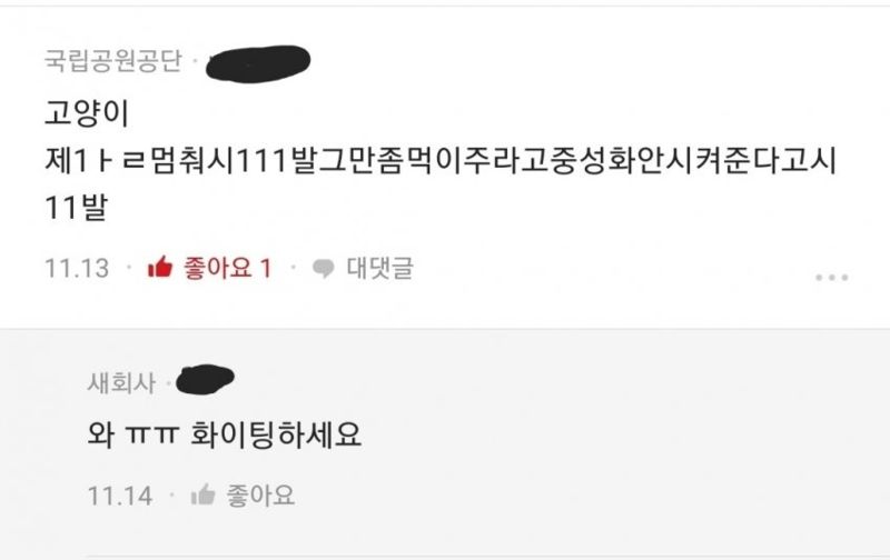 요즘 야산에 다람쥐가 안 보이는 이유.jpg