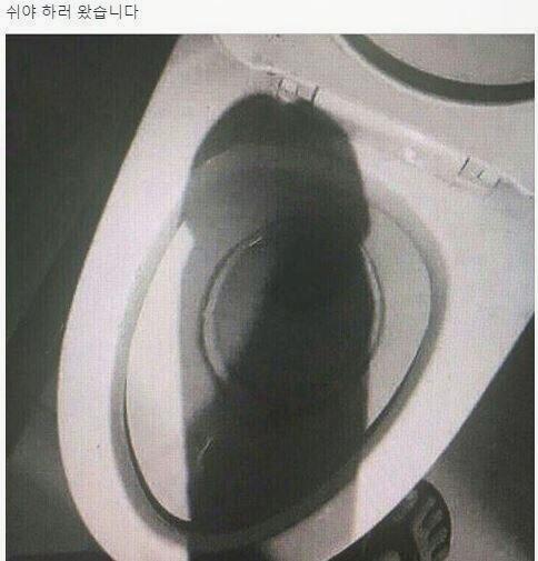 허언증 갤러리