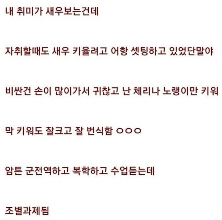 남자 자취방에 어항 두면 안되는 이유.jpg