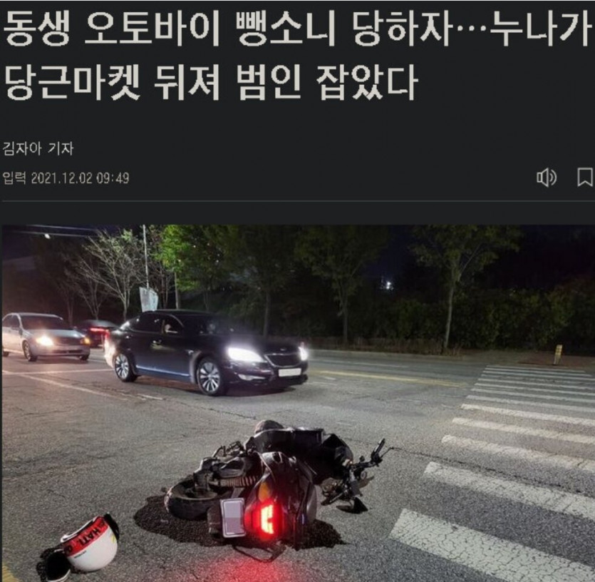 동생 뺑소니범 당근마켓으로 잡은 누나