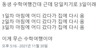 요즘 수학여행 근황