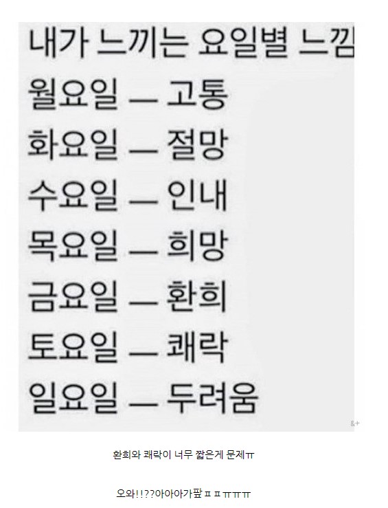 다들 즐거운 월요일 보내셨남