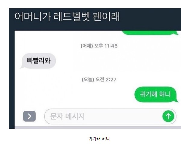 어머니가 레드벨벳 팬