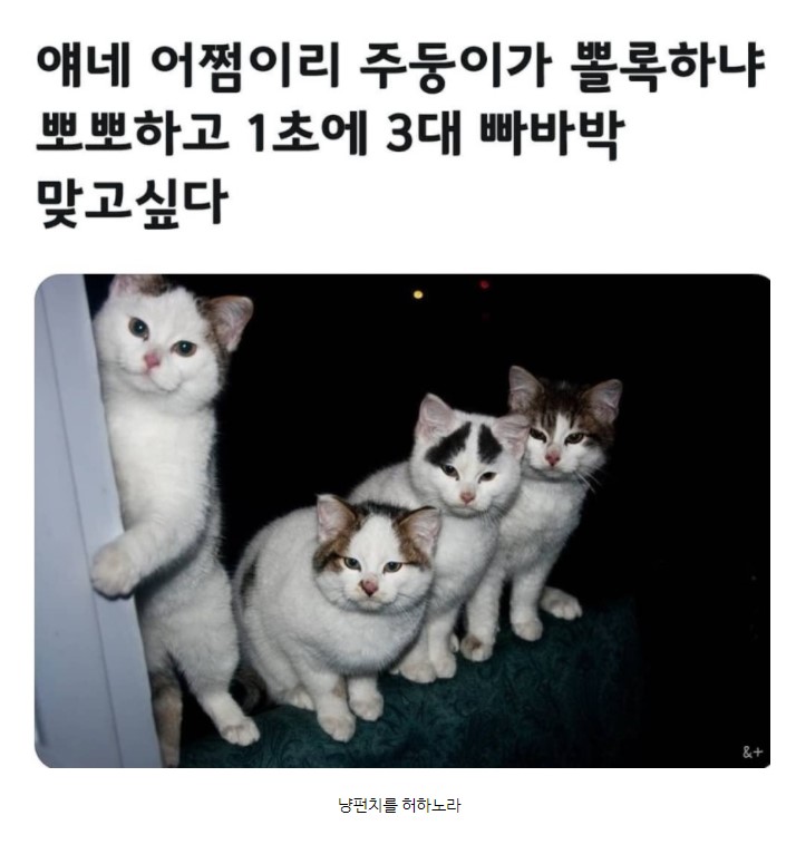 귀여운 고영희씨