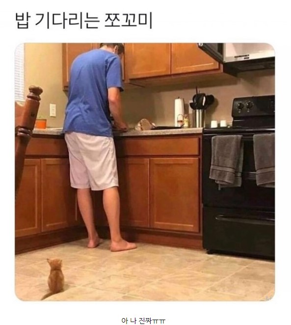 야 야 이런 쪼꼬미 봤냐?ㅜㅜ