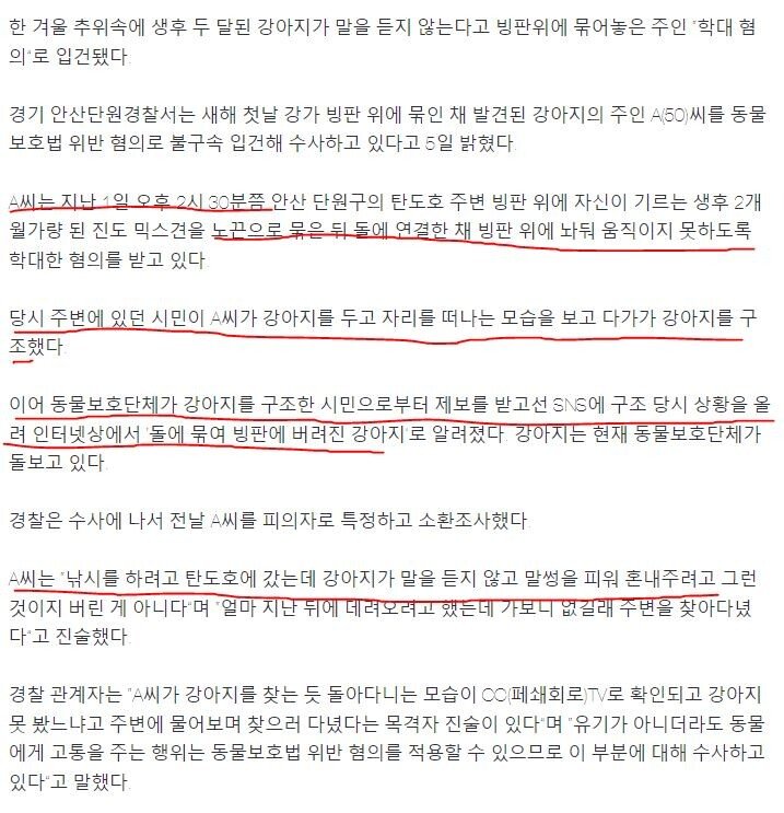 주작논란 일어났던 빙판 위 강아지사건 결말.jpg