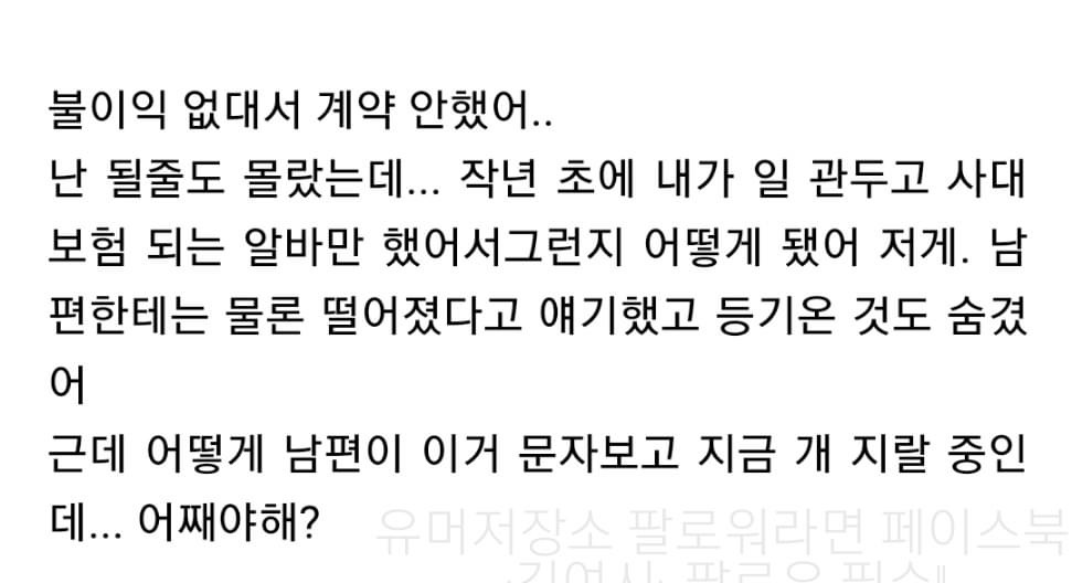 남편에게 임대주택 당첨 숨긴 여시녀