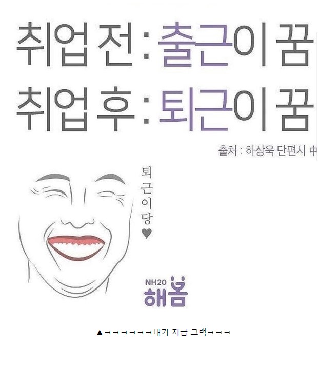 취준생의 이상과 현실