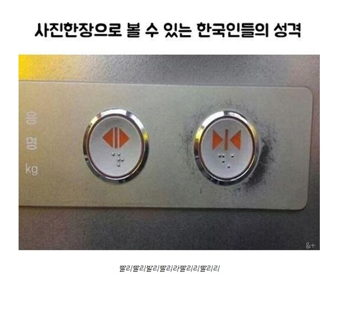 한국인들의 성격