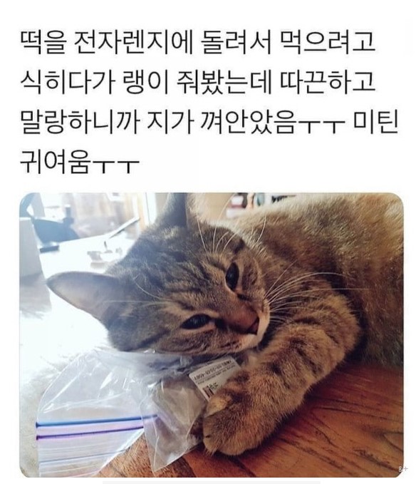 따뜻하댜옹